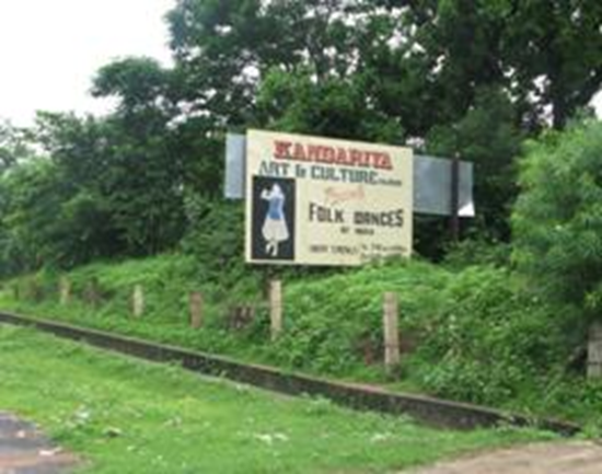 Cultural Arts & Dances Shows